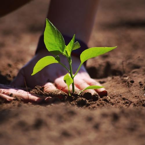 Simple Ways To Celebrate Earth Day Through Lifestyle Changes 