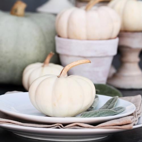 Quick ways to decorate your spaces for fall