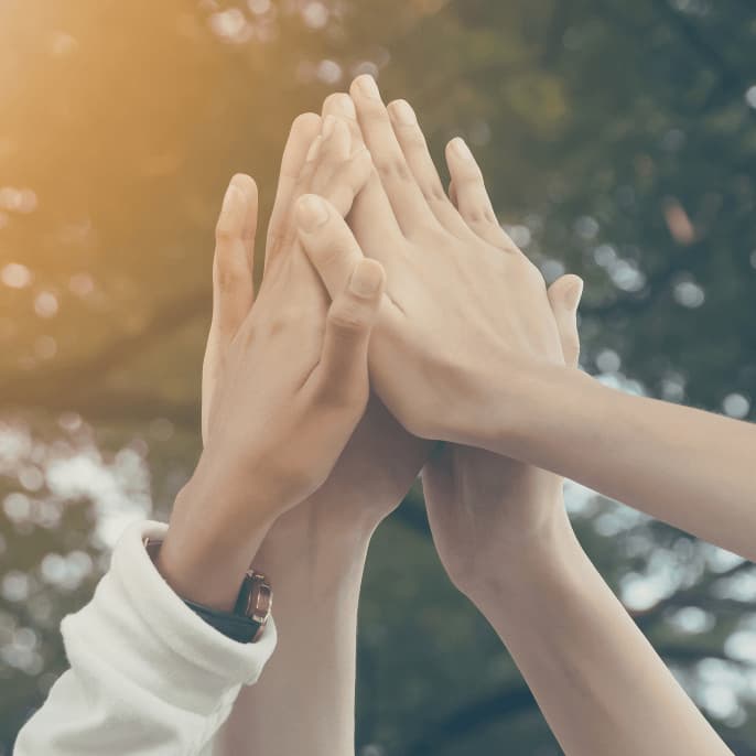 Giving Tuesday: Simple Ways To Support 