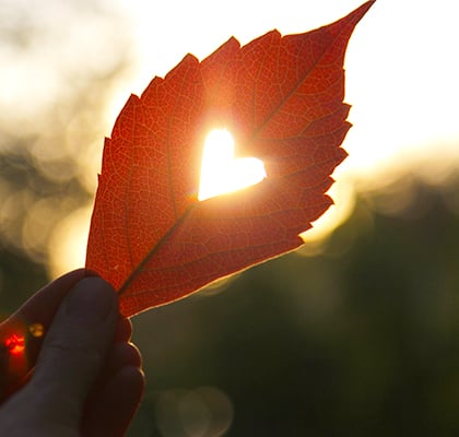 A fall leaf is shown with a cutout of a self-care heart through it. 